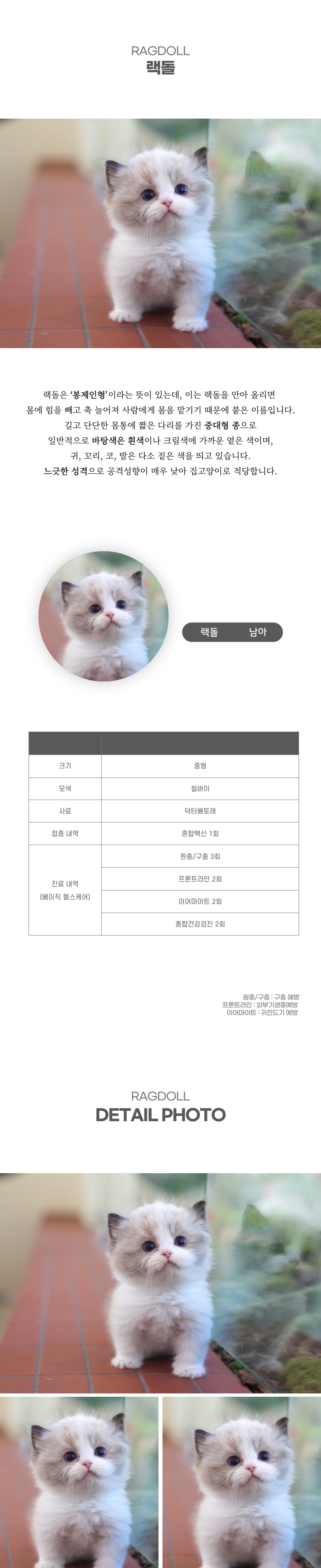 랙돌_상세이미지_2